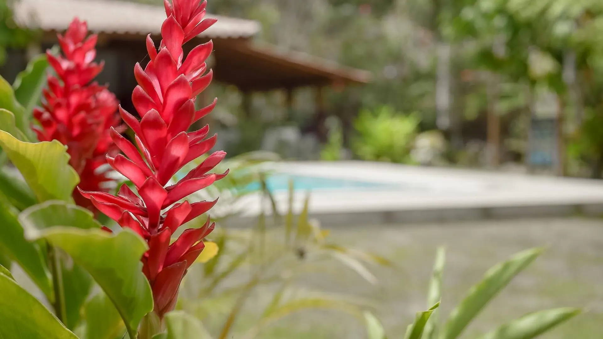 Vila Cipreste- Casa Para Temporada Arraial D'Ajuda Porto Seguro